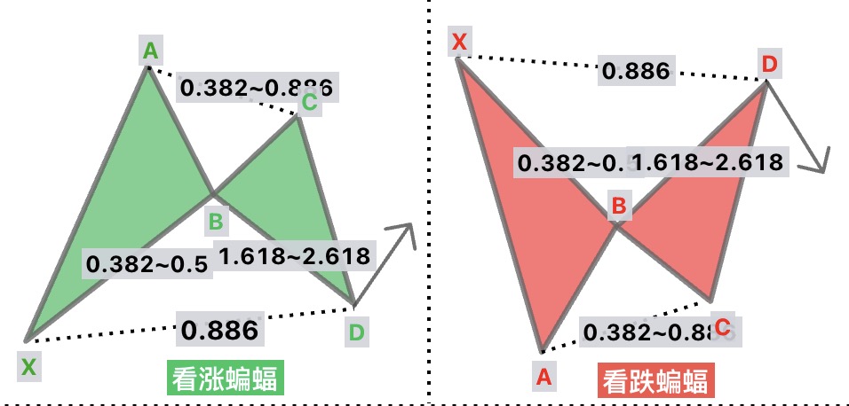 蝙蝠形态